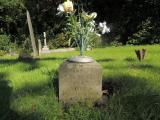 image of grave number 610594